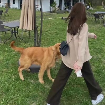 绅士愿望
